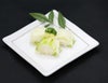 白菜漬け1kg